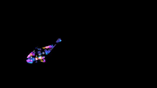 采摘花式鲤鱼或锦鲤鱼的分散景观图案黑色背景上的水生和海洋生物概念设计插图无缝循环动画与复制空间4K视频的预览图