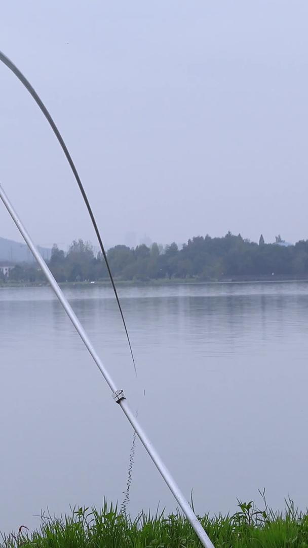 钓鱼爱好者湖边钓鱼休闲娱乐素材视频的预览图