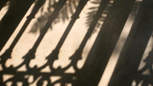 水泥地板上的自然风吹动栅栏和棕榈叶的光影阴影视频的预览图
