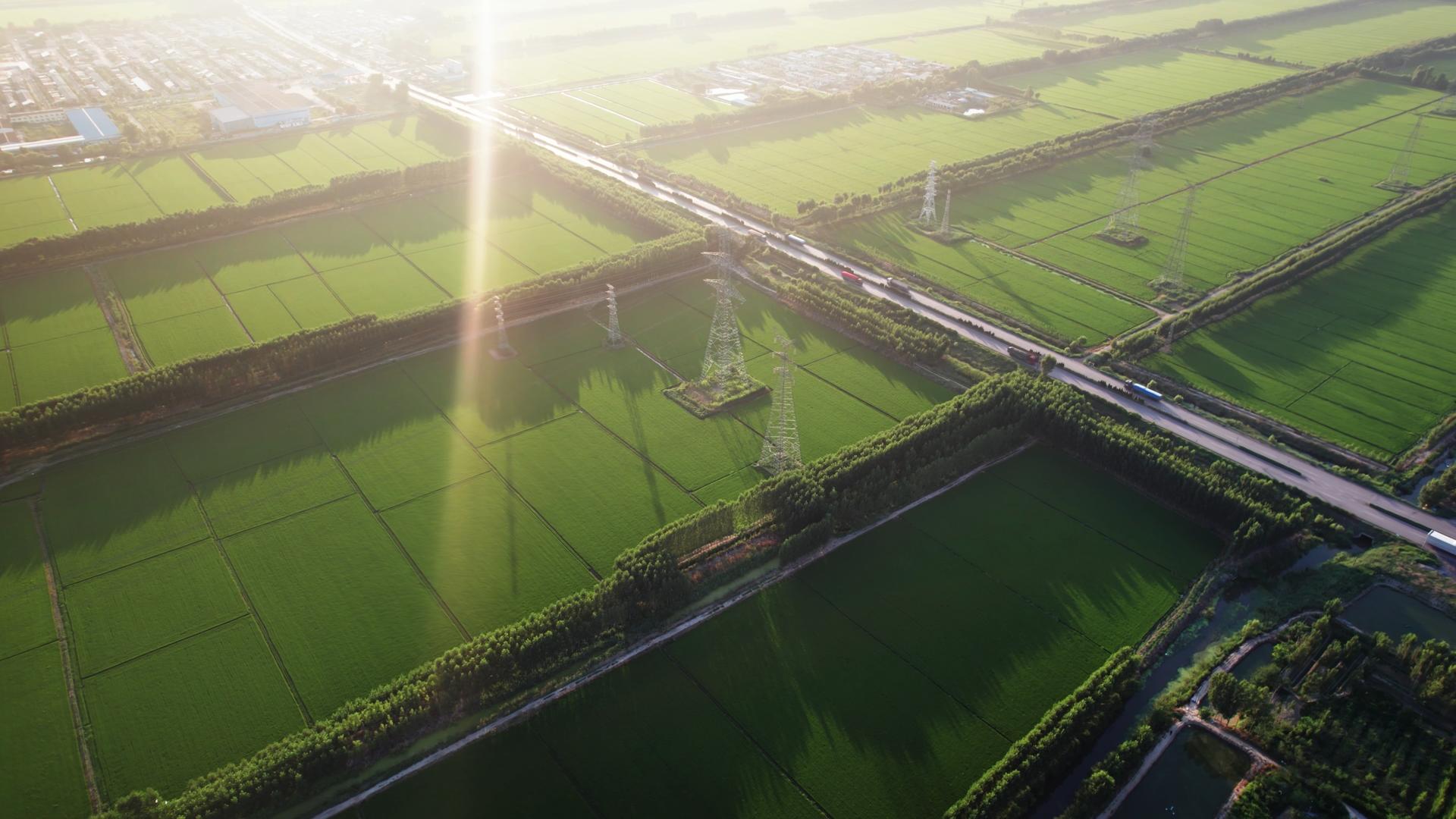 乡村公路穿过平原稻田视频的预览图