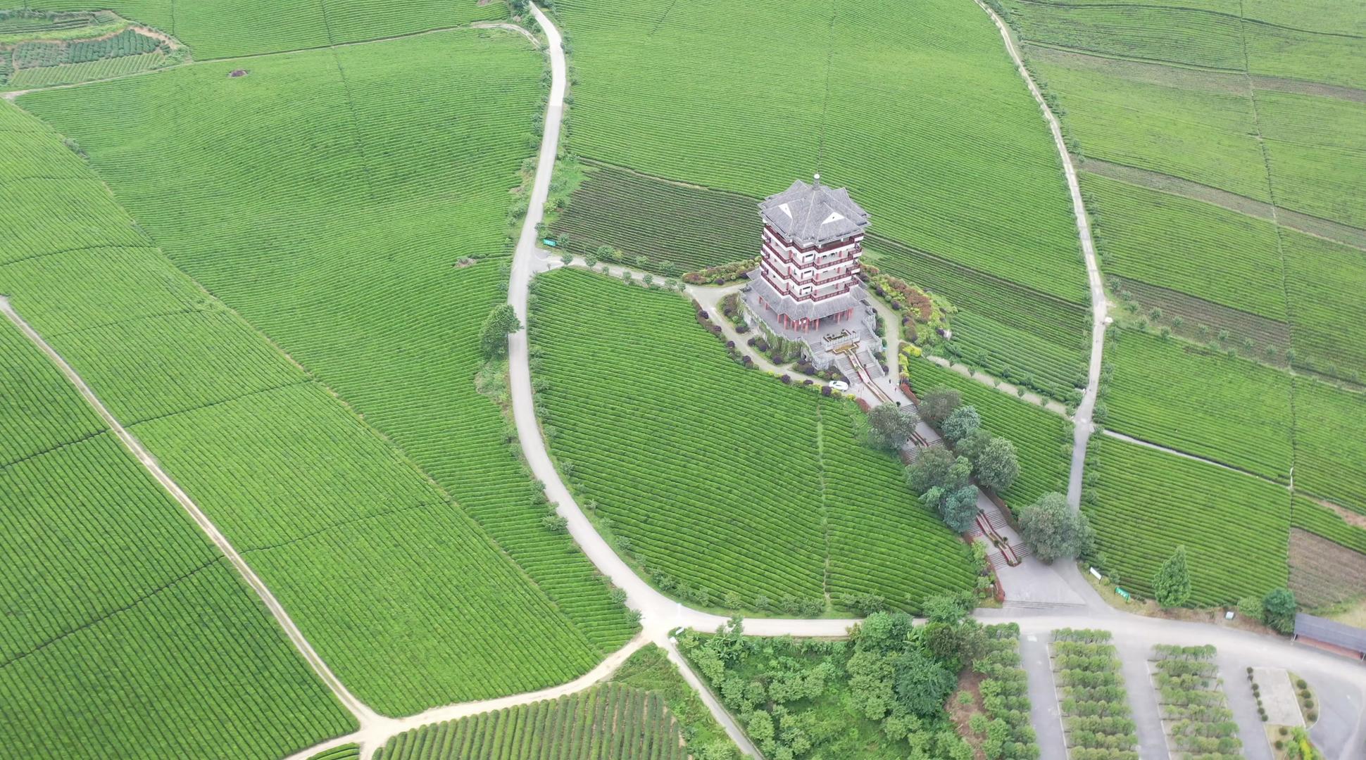 贵州遵义湄潭中国茶海风光视频的预览图