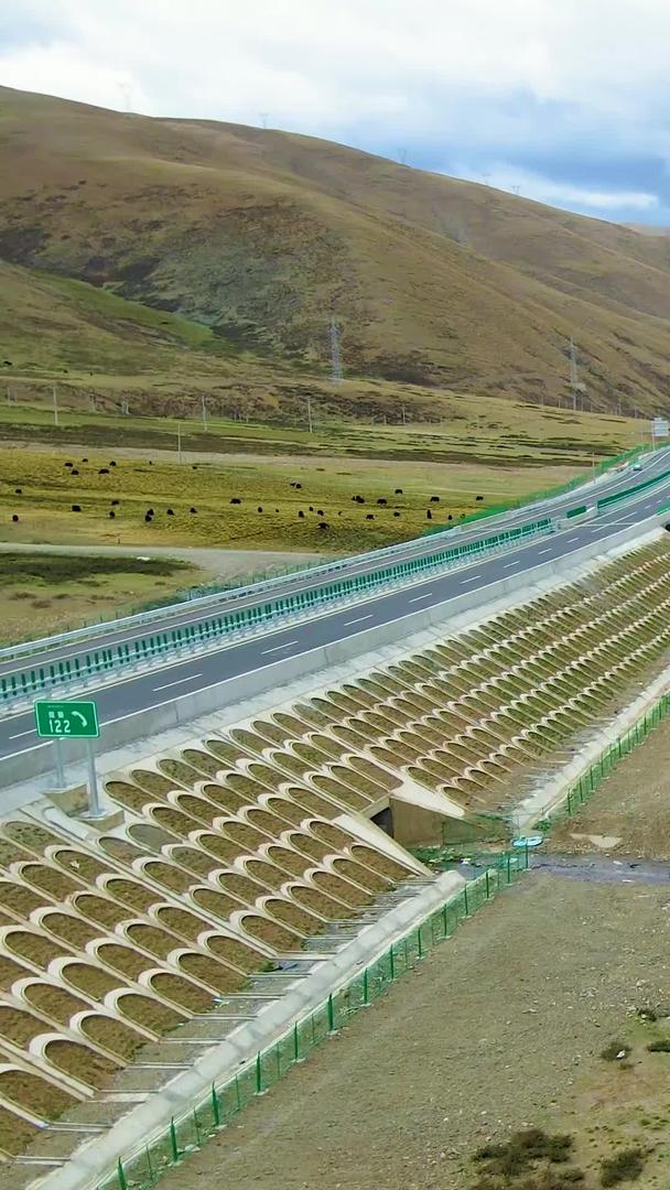 壮丽的中国青藏高原火车铁路大桥风景视频的预览图