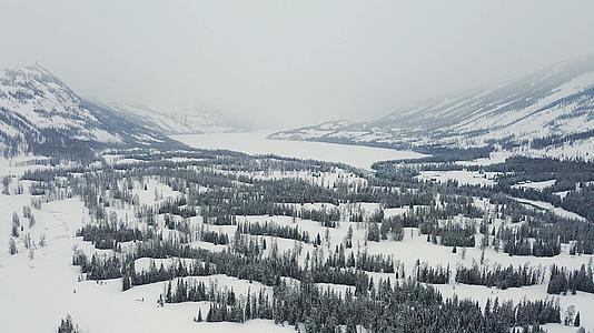 4K航拍新疆冬季阿尔泰山喀纳斯雪景森林山野旅游风光视频的预览图