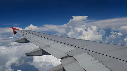 一架飞机在白云蓝天上飞行视频的预览图