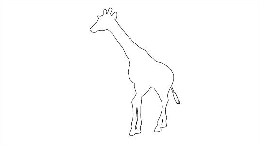 4k动画长颈鹿在白屏上行走视频的预览图