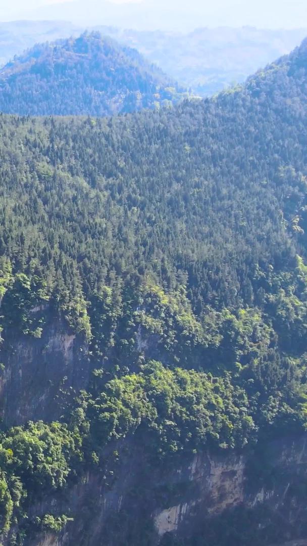 5A景区巫山小三峡滴翠峡航拍集合视频的预览图