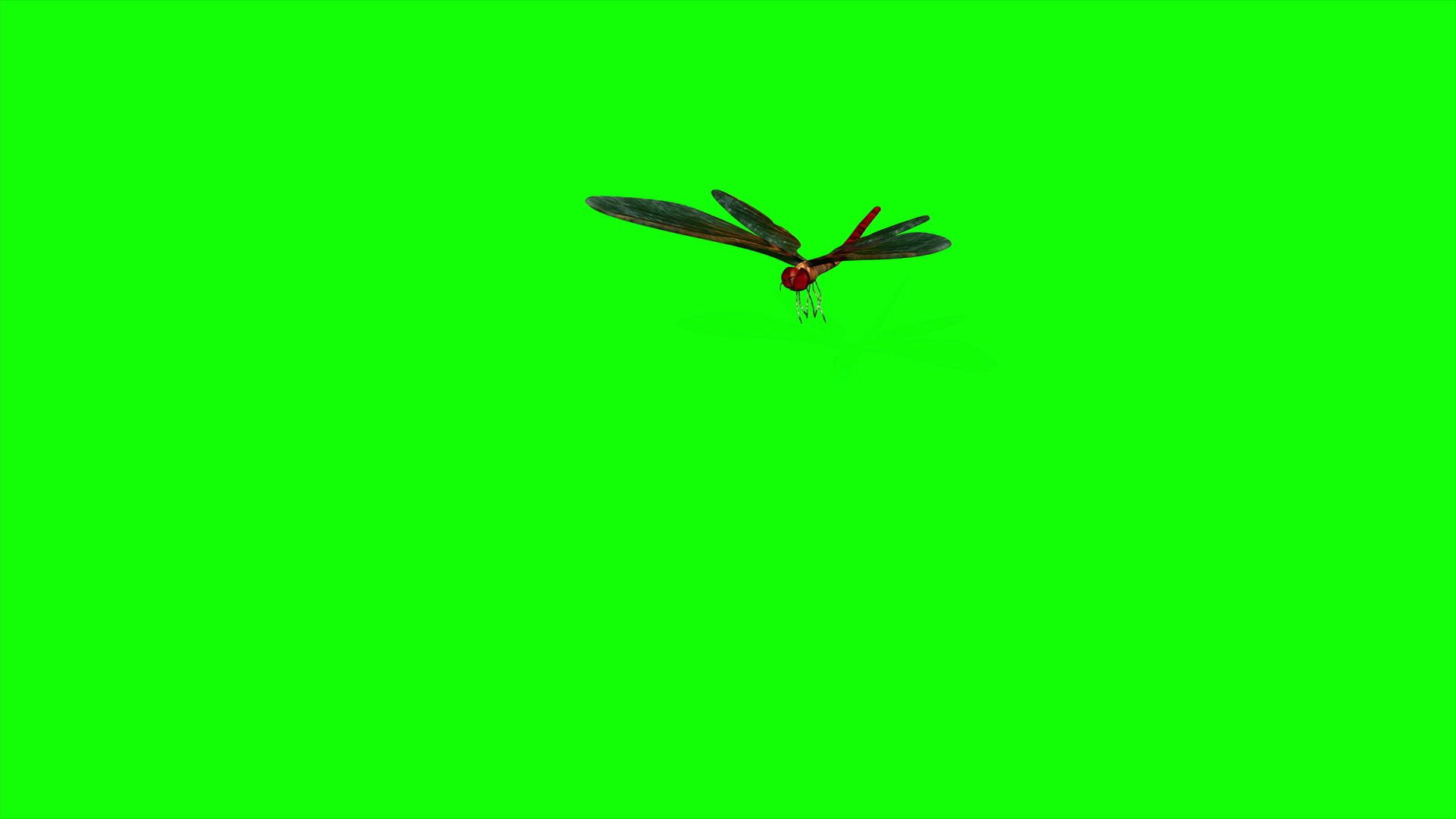 3D飞龙成像动画视频的预览图