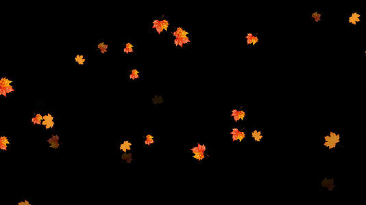 4K枫叶飘落动画元素带透明度视频的预览图