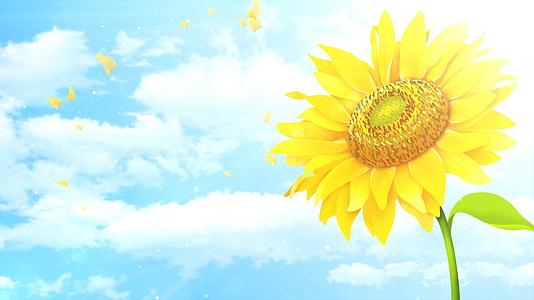 4KLED阳光向日葵夏天背景视频视频的预览图
