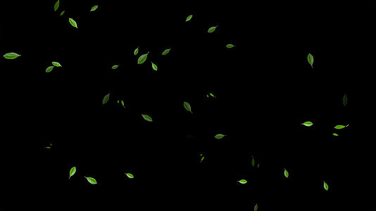 4K绿叶飘落粒子AE元素带通道视频的预览图