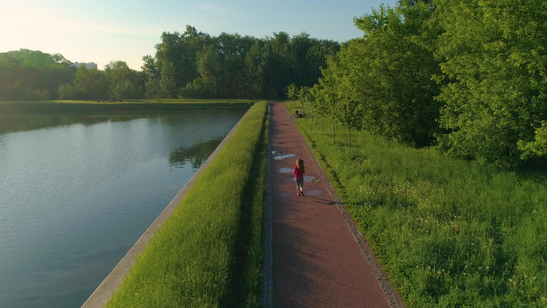 早上一个年轻健康的女人带着池塘在公园里慢跑视频的预览图