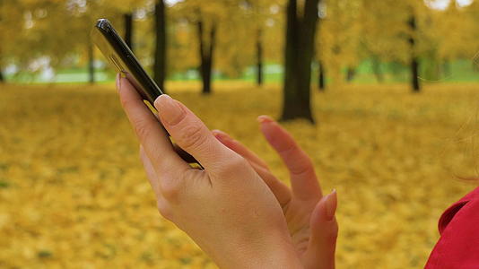 在秋季公园的黑色智能手机上打字视频的预览图