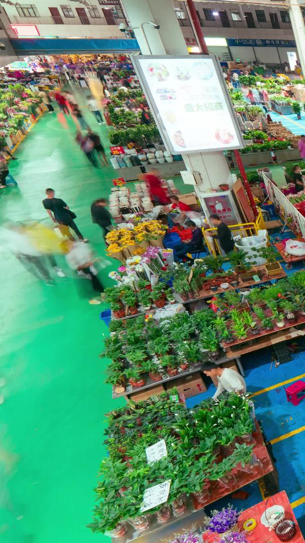 昆明斗南花卉交易市场视频的预览图