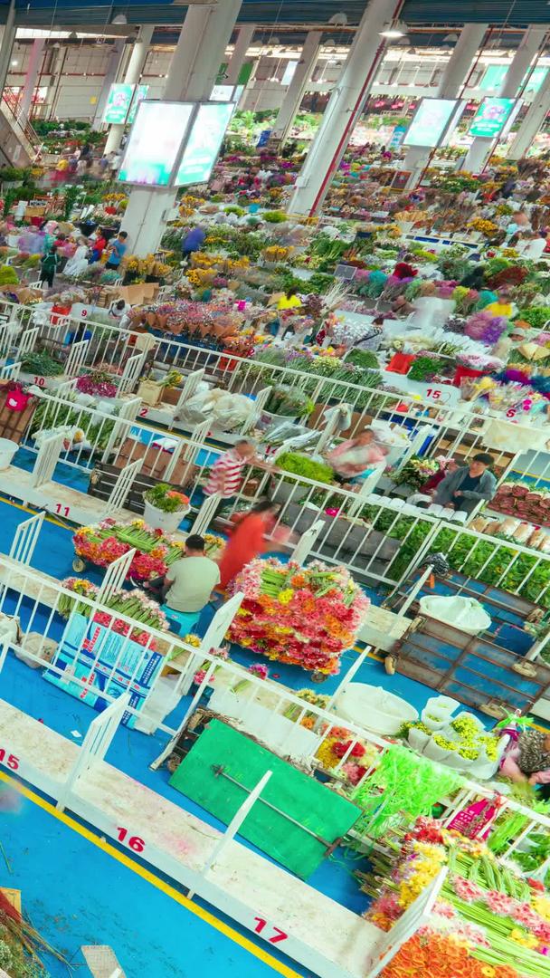 昆明斗南花卉交易市场视频的预览图