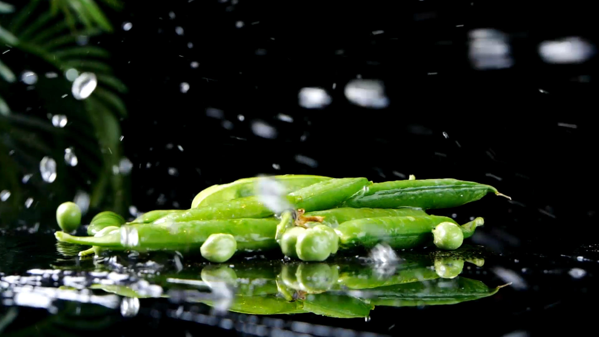 升格豌豆慢动作豌豆蔬菜视频的预览图