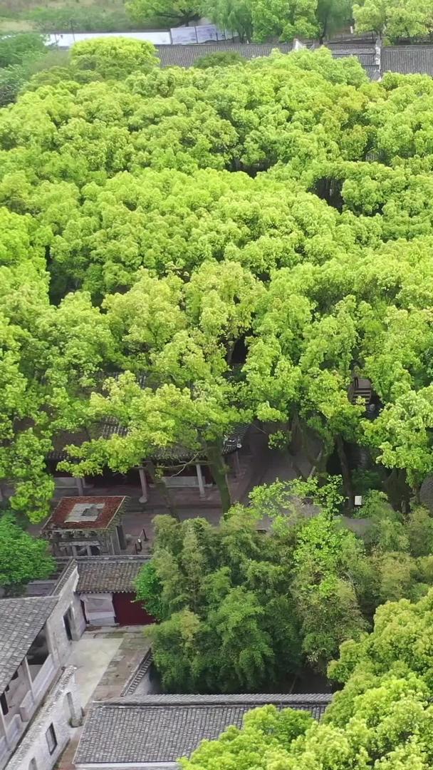 宁波天一阁古建筑5A景区航拍视频视频的预览图