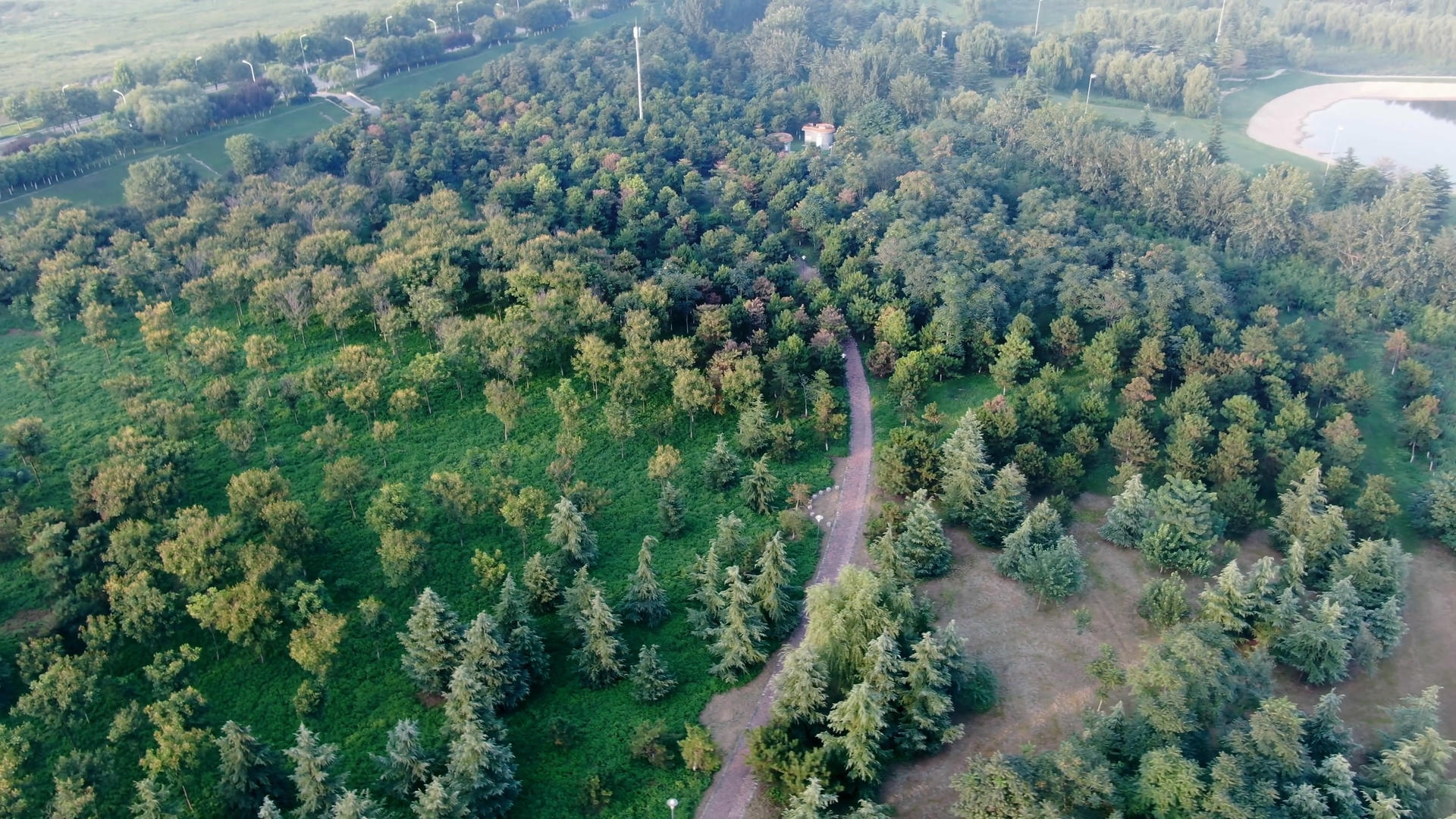 树林景观航拍视频的预览图