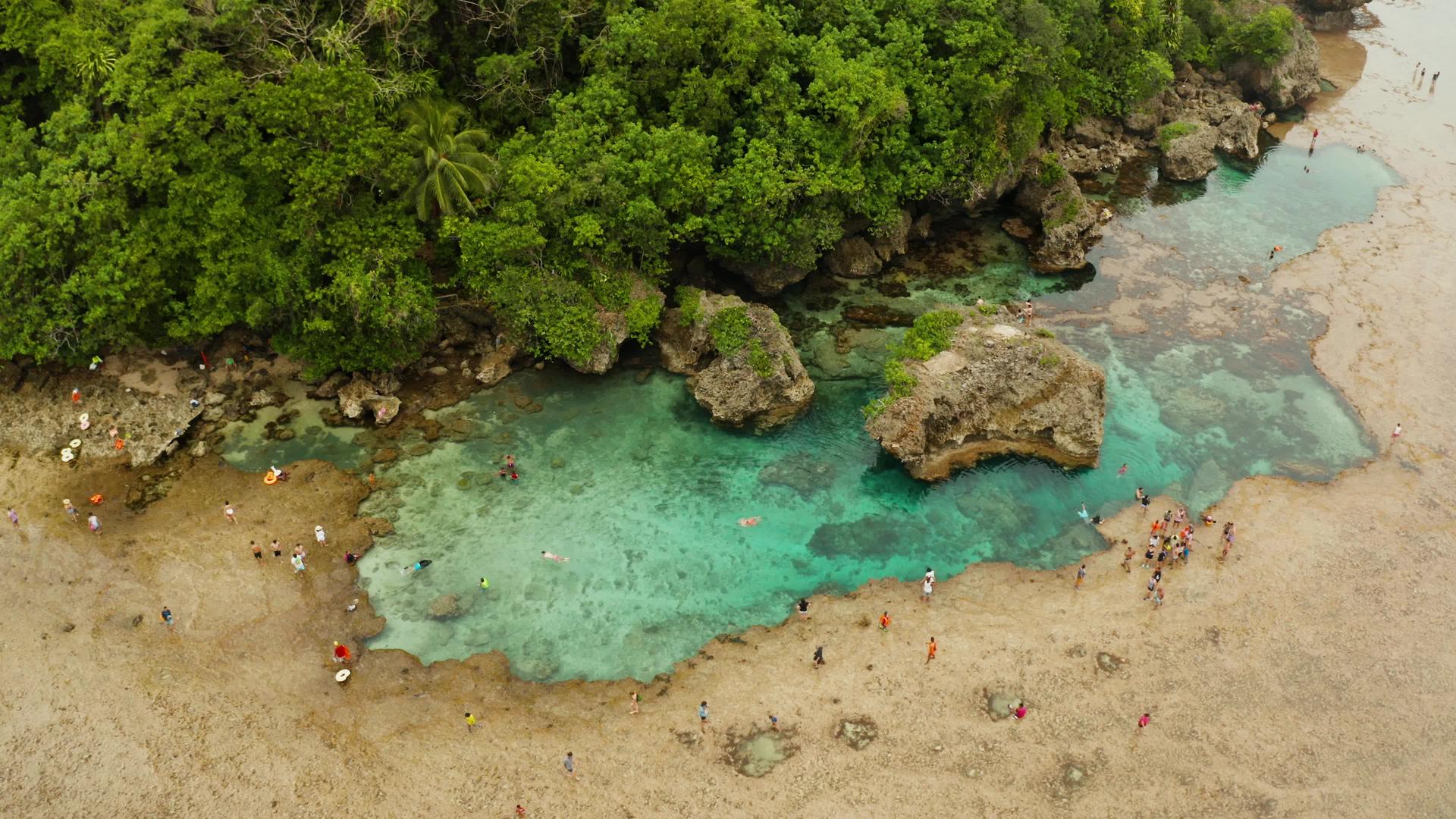 西马岛海豚湖视频的预览图