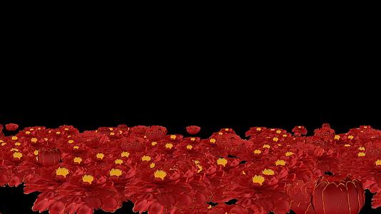 4k红色花朵盛开推进视频的预览图