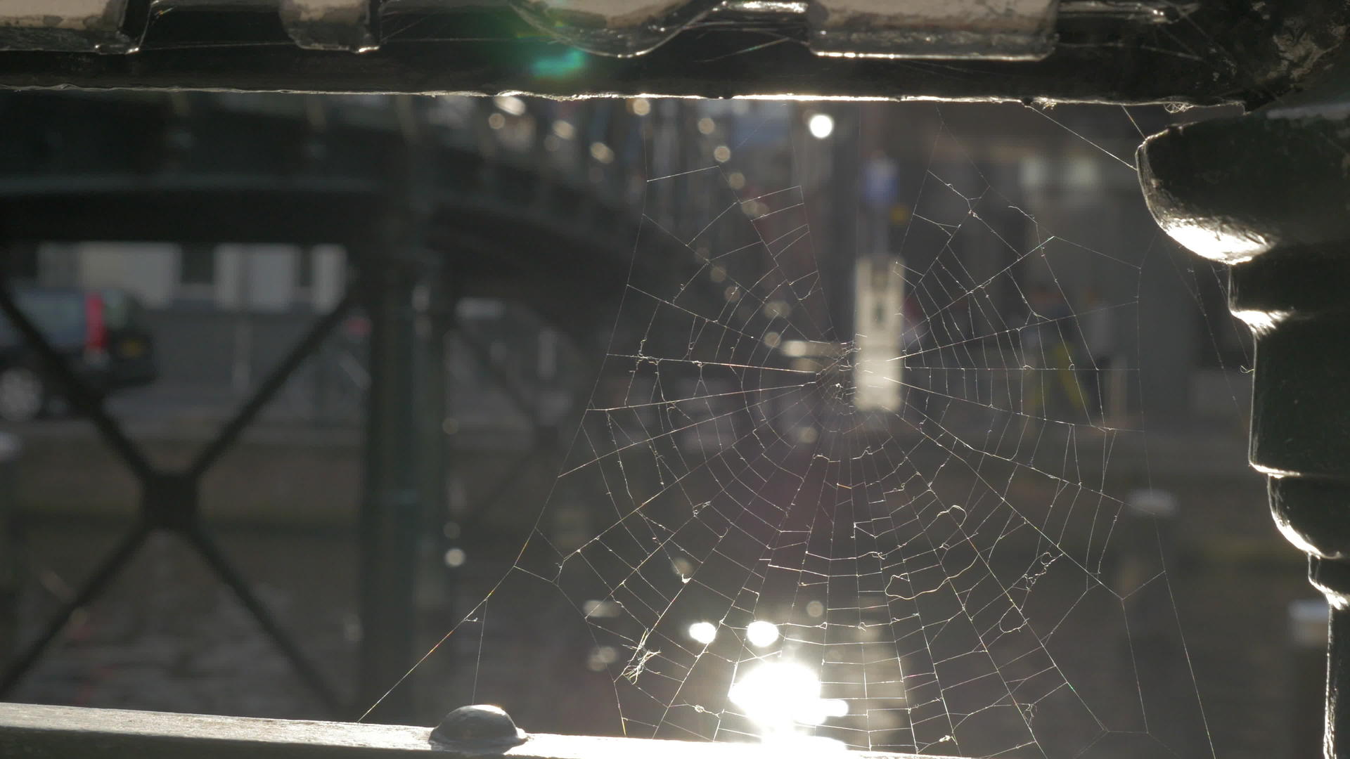 通过蜘蛛网观察整个城市视频的预览图