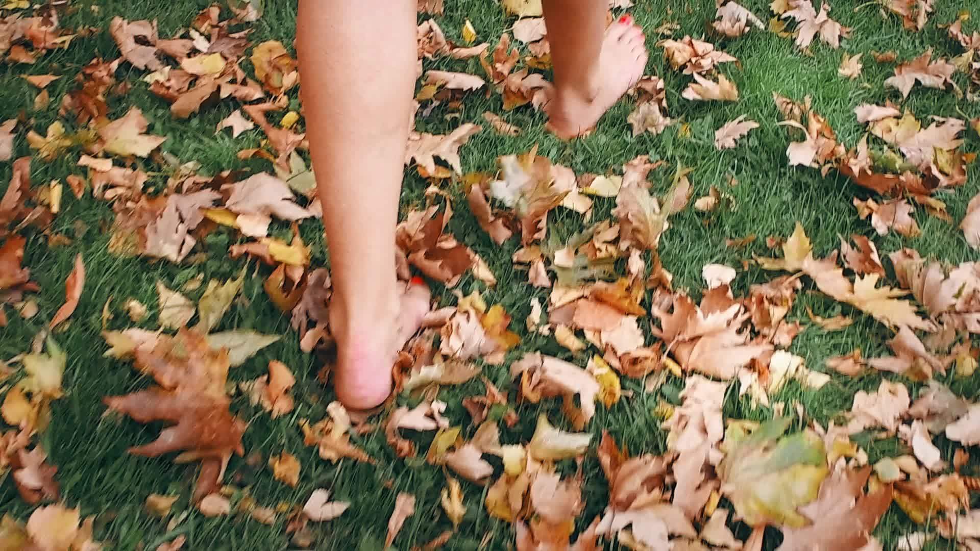 秋天女人们在公园散步在秋天踢明亮的秋叶树枝视频的预览图