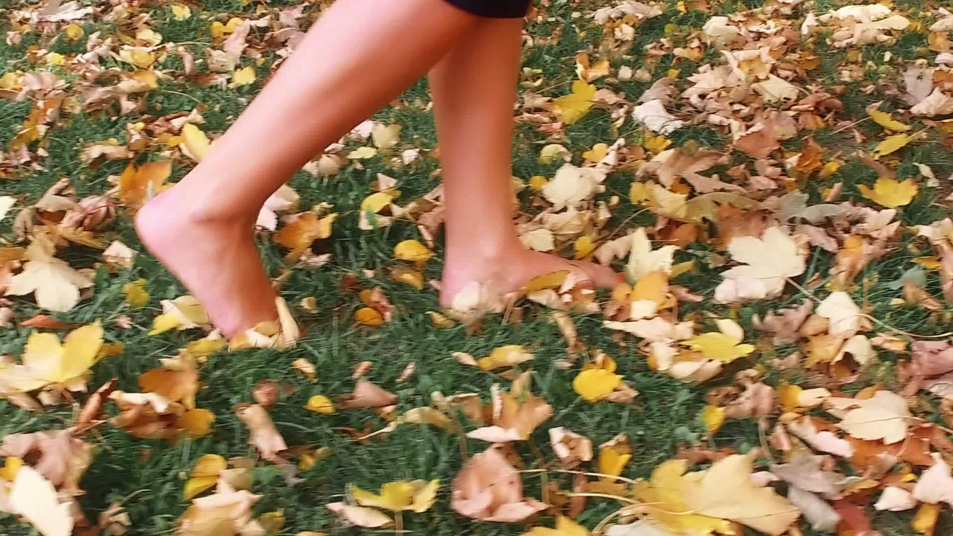 秋天妇女在公园散步视频的预览图