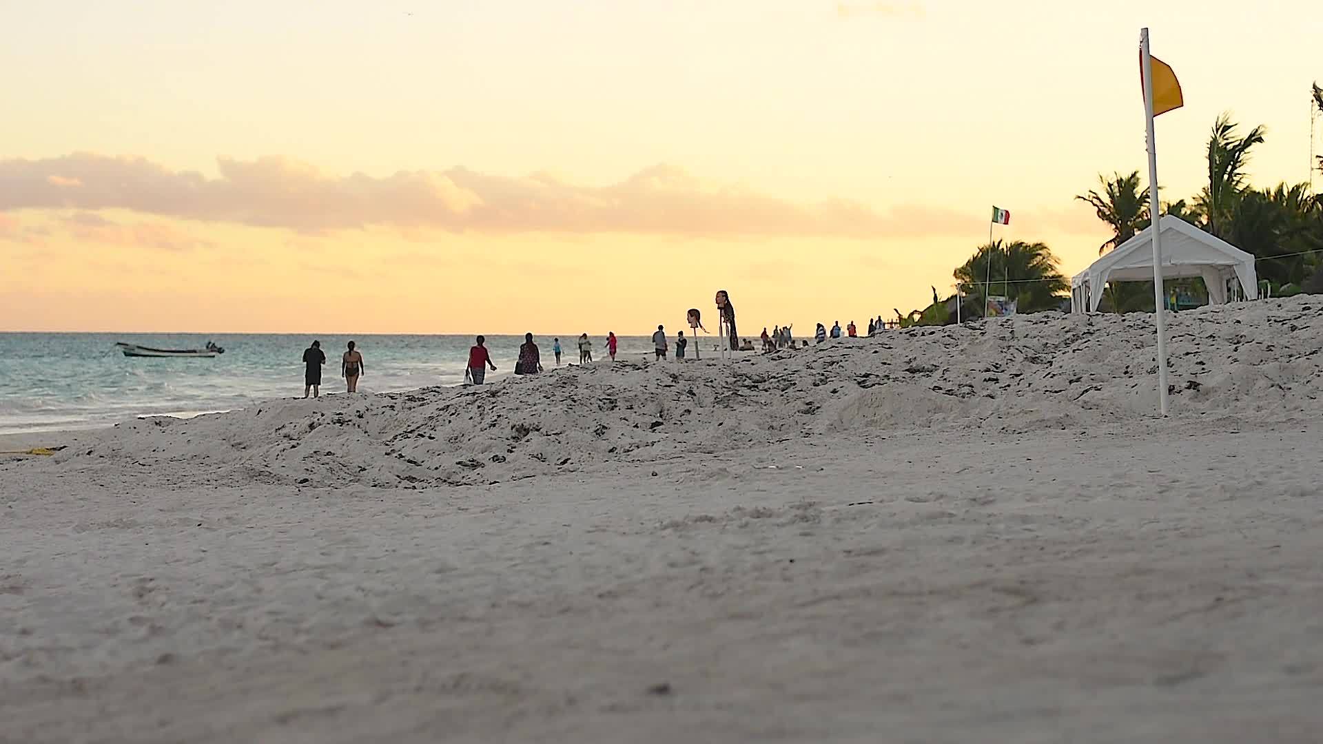 日落海滩视频的预览图