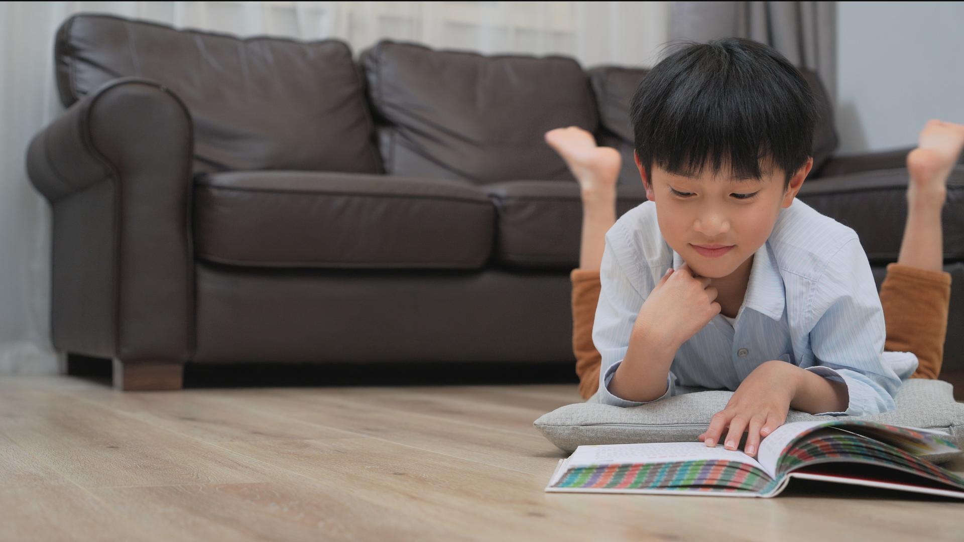 居家看书的小男孩视频的预览图