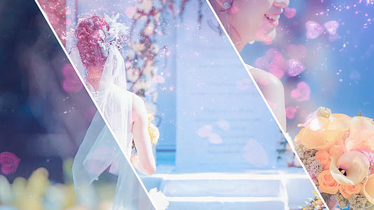 韩式婚礼相册Edius模板视频的预览图