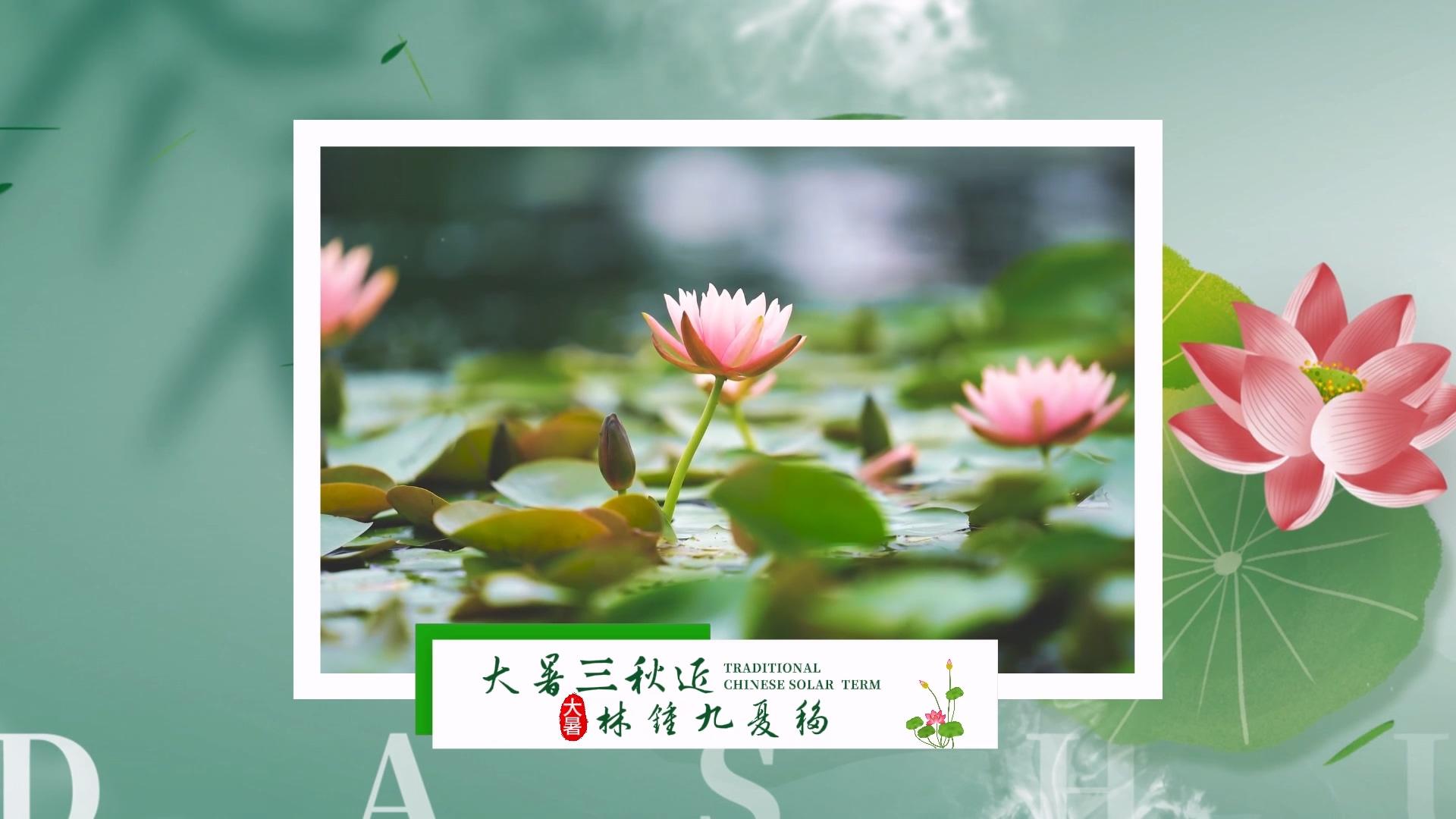 简洁清新大暑图文展示剪影模板视频的预览图