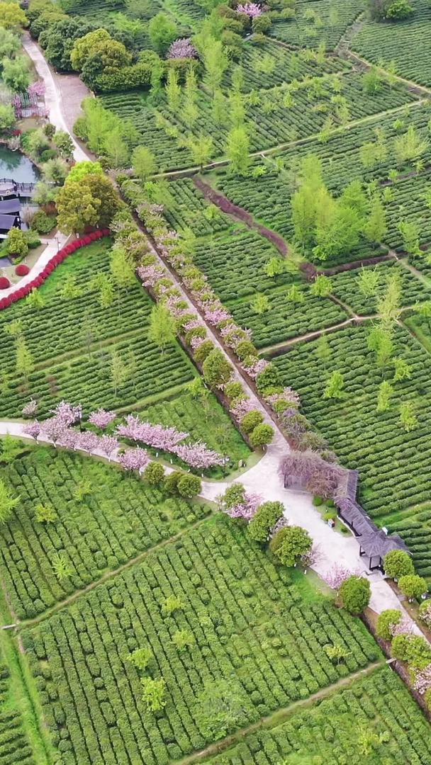苏州旺山景区航拍苏州视频的预览图