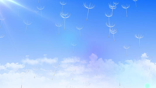 蒲公英唯美天空背景4K视频的预览图