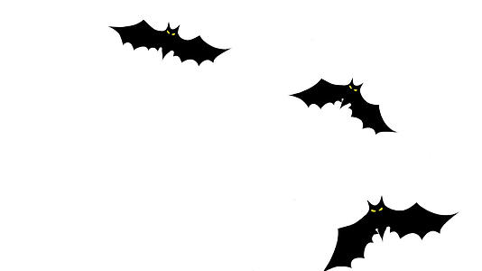 万圣节蝙蝠视频元素视频的预览图