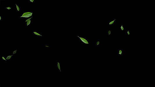 4K粒子绿叶飘落动画元素带通道视频的预览图