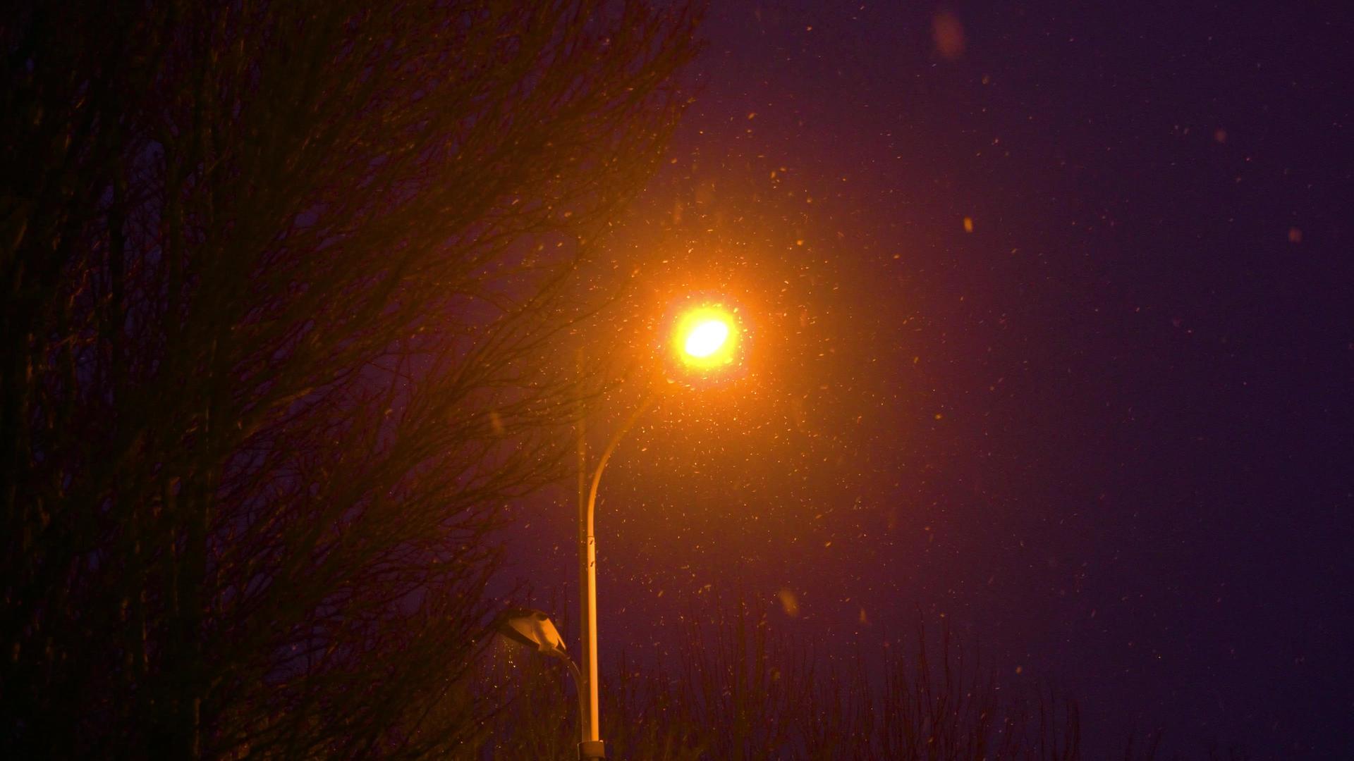下雪路灯下的雪花视频的预览图