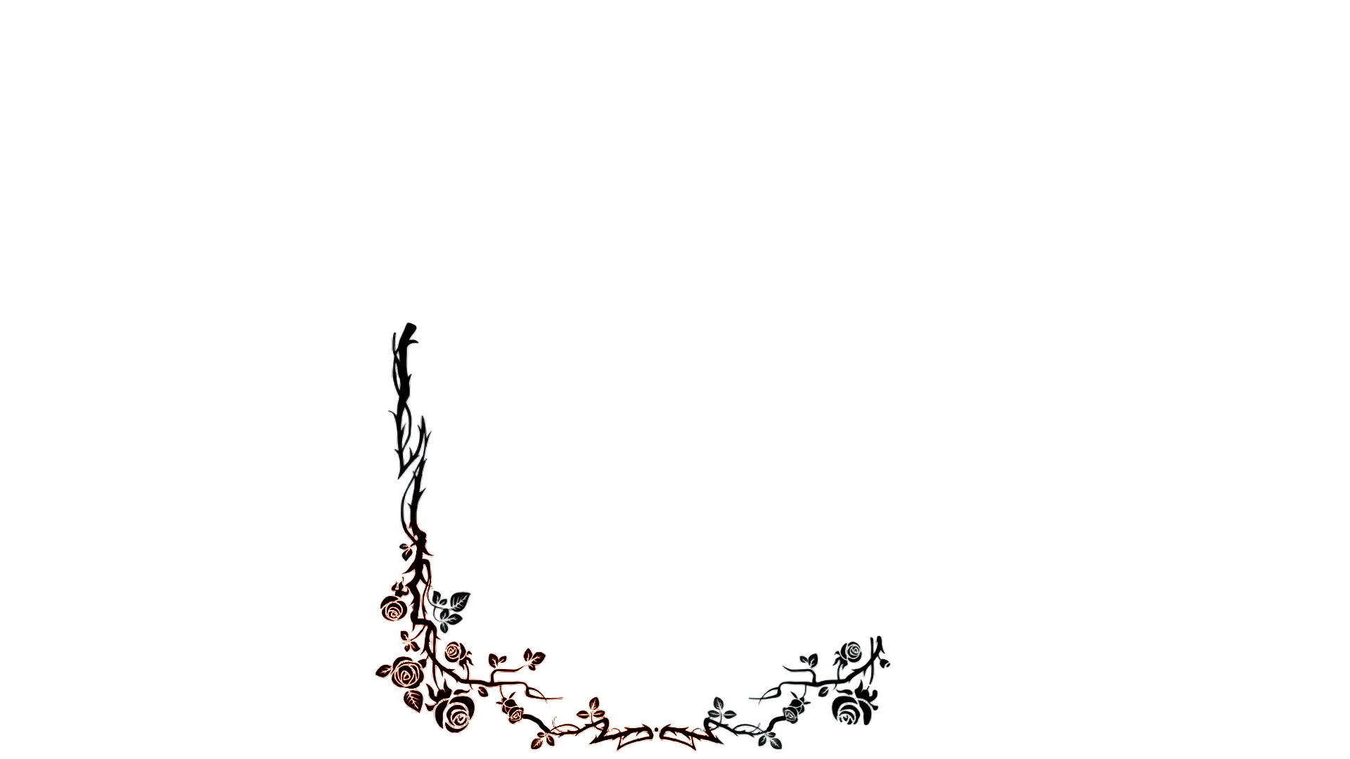 花卉帧动画视频的预览图