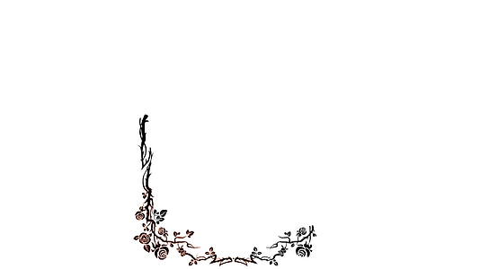 花卉帧动画视频的预览图