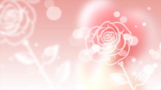 4K情人节美丽浪漫粉色梦幻玫瑰动态背景视频视频视频的预览图