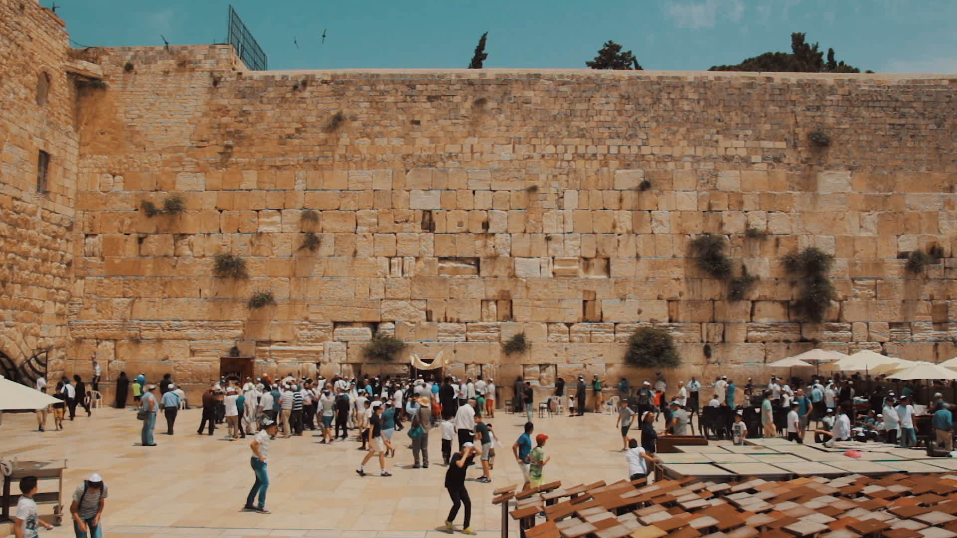 在耶鲁萨伦古城的西墙上为犹太人祈祷视频的预览图