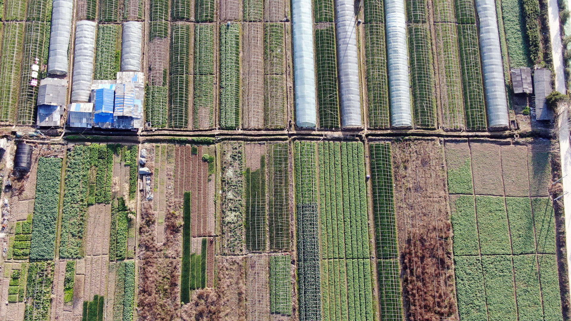 4K航拍农业种植大棚蔬菜视频的预览图