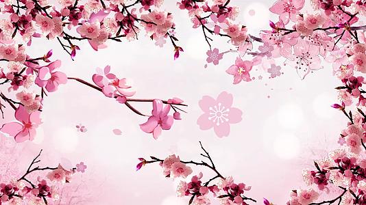 浪漫粉色樱花背景视频视频的预览图