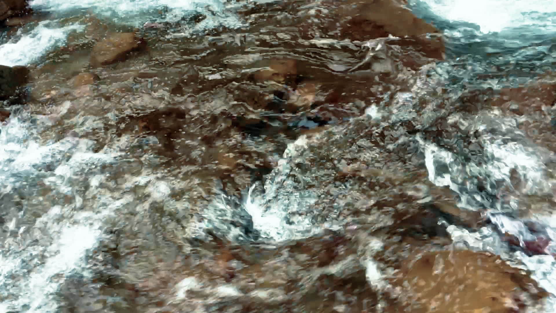 含蓝清的森林泉水视频的预览图
