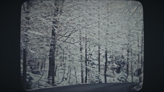 冬天开车穿过雪林视频的预览图