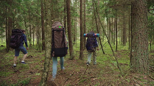 一群游客背着包走在迷幻森林里视频的预览图