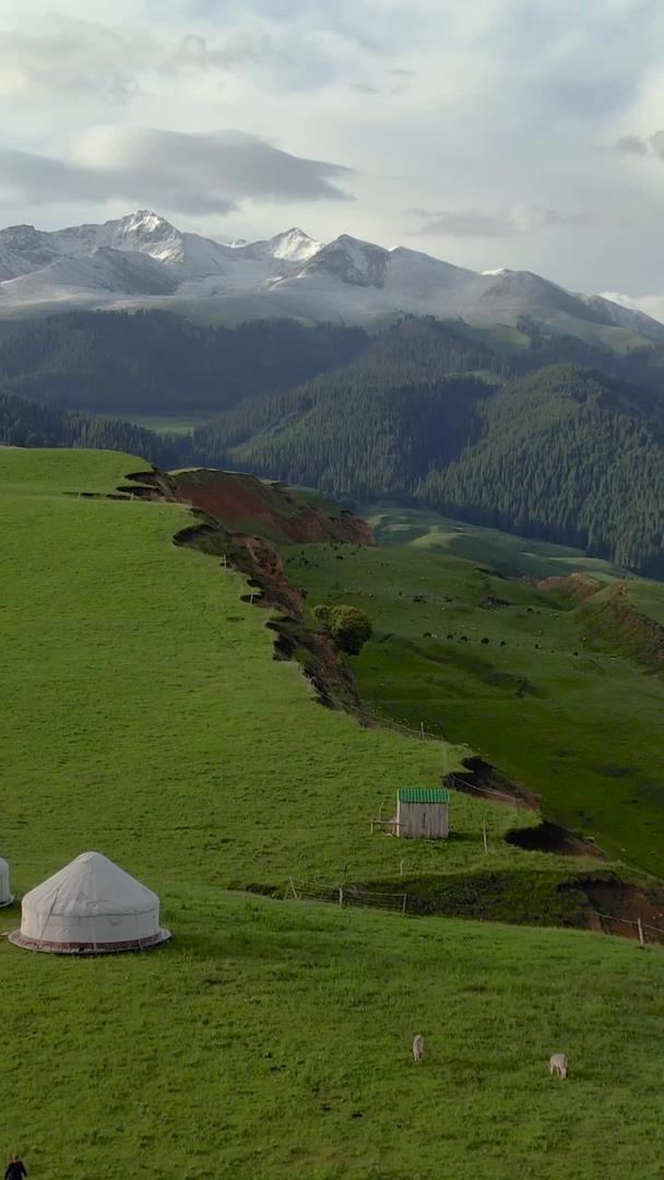 天山山脉雪山下的大草原和牧民毡房视频视频的预览图