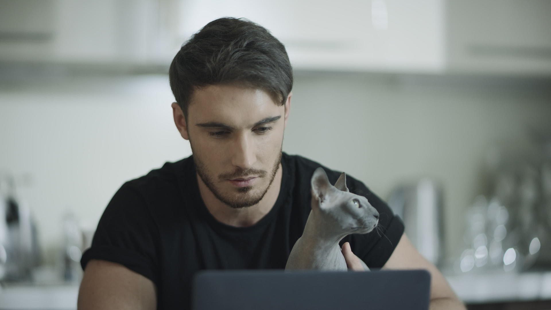 英俊的男人在笔记本电脑上和Sphynx猫一起工作视频的预览图
