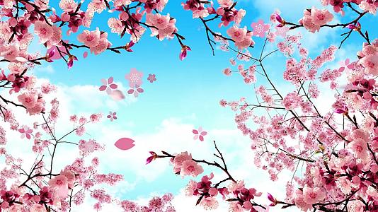 粉色唯美春天樱花樱花节背景视频视频的预览图