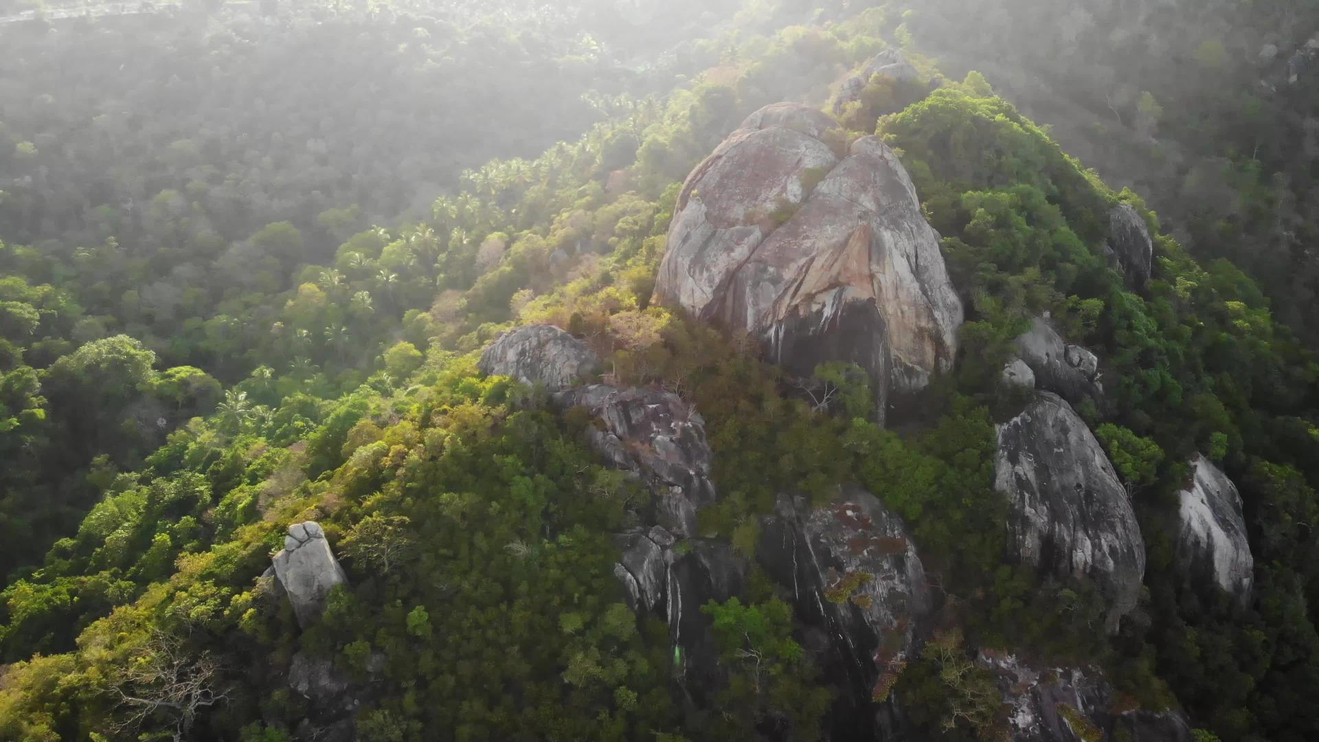 丛林和山脉视频的预览图