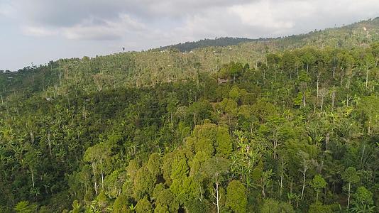 雨林和山丘的热带景观视频的预览图