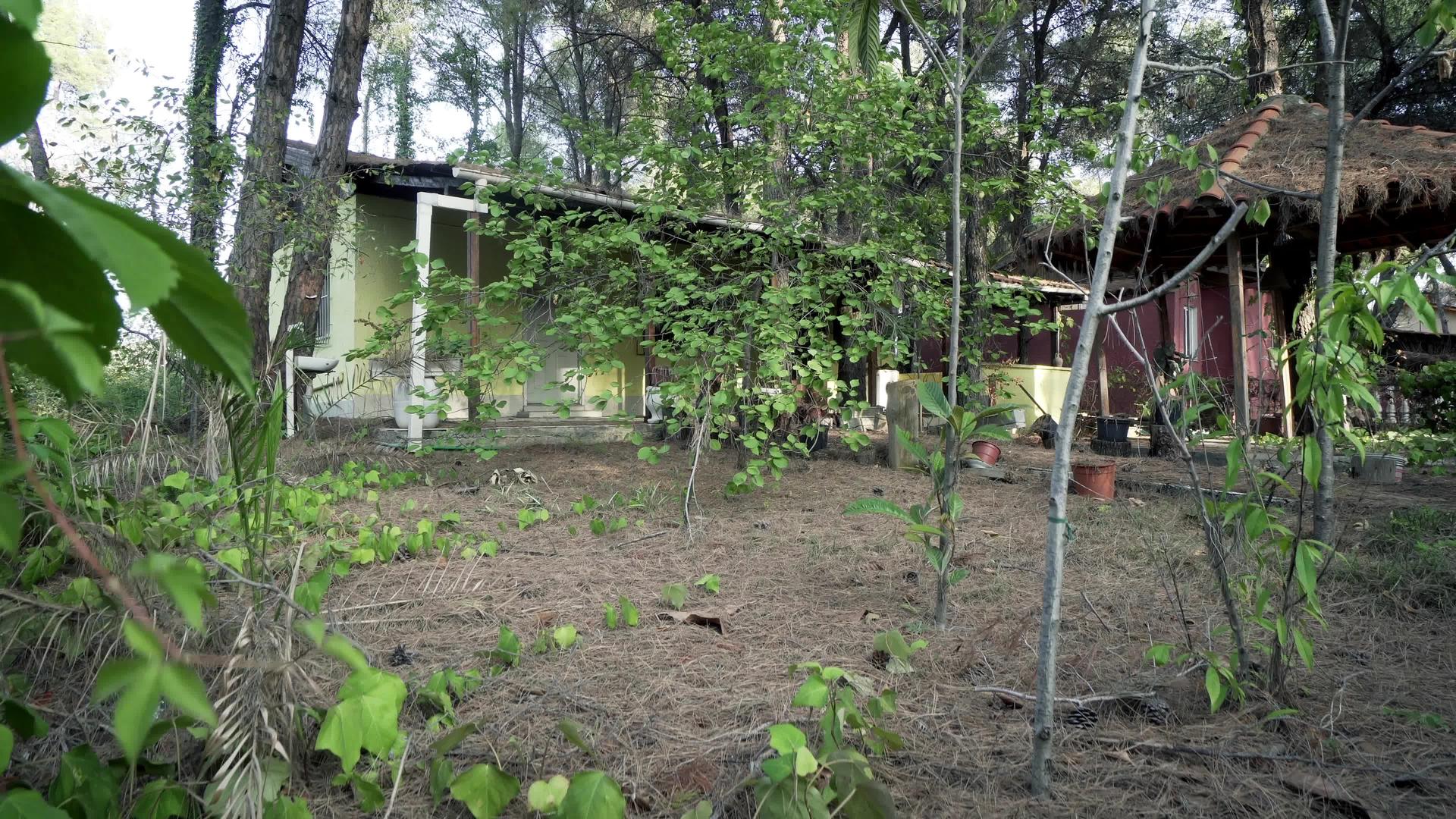 废弃的房屋建在森林中视频的预览图